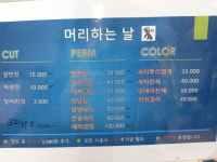 머리하는날