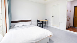 퍼피스테이 온수수영장 애견펜션