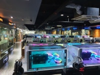 비트PC카페 지족점