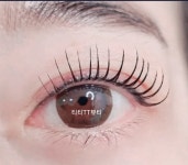 티티뷰티