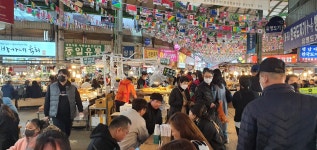 대풍관광여행사