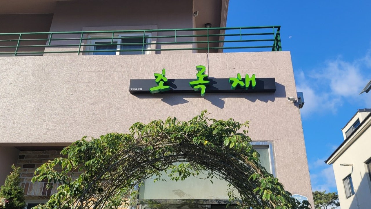 초록채