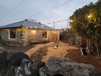 서쪽에서 귤이네