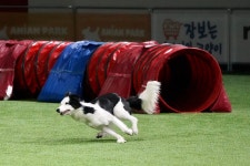 이재룡의 뭉개뭉개유치원