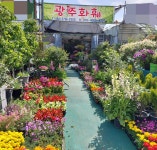 광주화훼