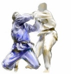 H유도&주짓수멀티짐 석현점