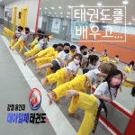 강철용인대태권도장
