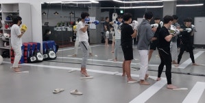 팀혼 TNT GYM