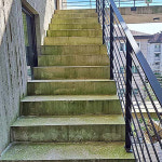 그린프로서비스