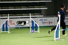 이재룡의 뭉개뭉개유치원