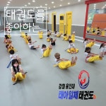강철용인대태권도장