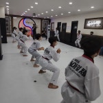 강철용인대태권도장