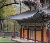용천사