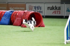 이재룡의 뭉개뭉개유치원