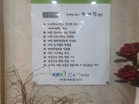 대구 코앤키한의원