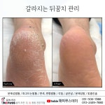 레푸스 부산동래역점