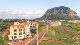 제주도 게스트하우스파티 스테이블