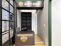 김석민 MMA