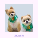 몽슈아