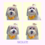 몽슈아