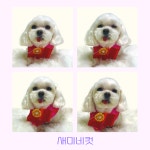 몽슈아
