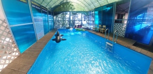 해솔바다향기 대부도 독채 단체 펜션