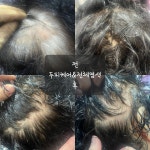 수앤큐사랑 염색 피부관리 속눈썹 두피탈모