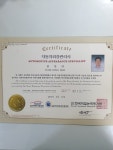 에이스덴트칼라
