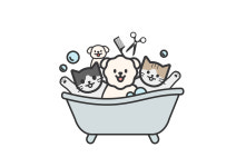 호두네 맡겨보개 애견유치원 애견호텔 애견미용