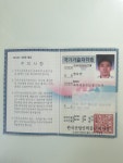 에이스덴트칼라