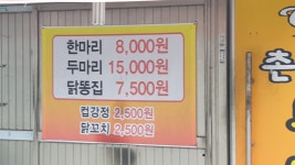 촌닭이두마리