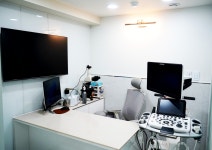 늘푸른동물병원