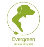 늘푸른동물병원