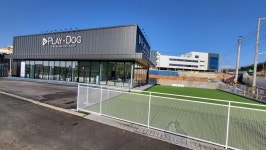 플레이독 파주본점