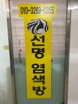 선명