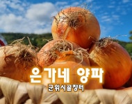 영농조합법인 군위시골장터