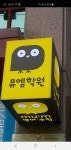 뮤엠학원 초중 영어,수학