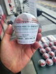 달콩과일
