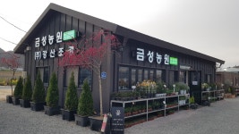금성농원