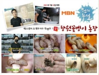 꿈드랑 창원꽃벵이곤충농장
