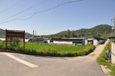 황금농장