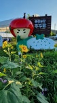 주주팜