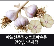 크로바유통