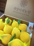 태양이네농원