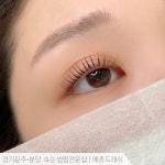 메종드래쉬
