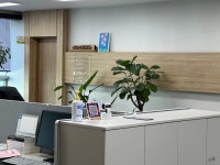 조수양 세무사