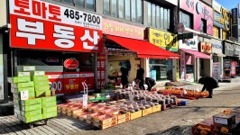 선부동일호점