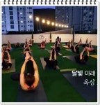 다움요가플라잉&필라테스 향동점