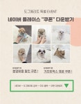 도그메리트 강아지 의정부점