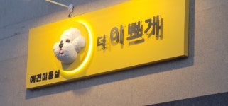 속초애견 더 이쁘개